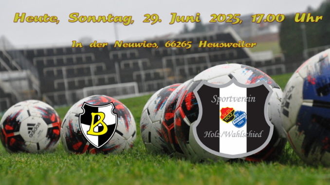 Beiragsbild SV Holz